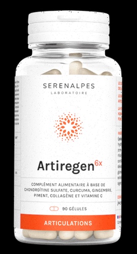 Achat Artiregen 6x