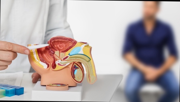 Achat Palmier Nain Prostate